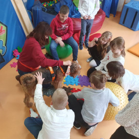 Zajęcia z dogoterapii