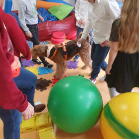 Zajęcia z dogoterapii