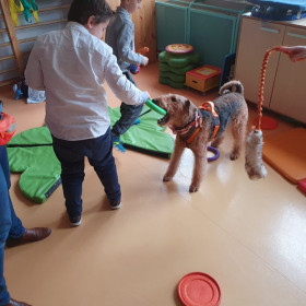 Zajęcia z dogoterapii
