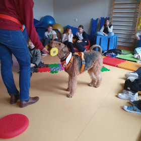 Zajęcia z dogoterapii