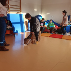 Zajęcia z dogoterapii