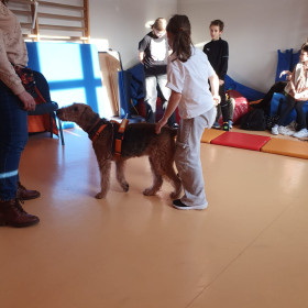 Zajęcia z dogoterapii