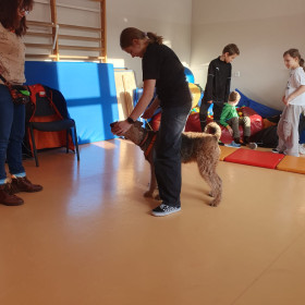 Zajęcia z dogoterapii