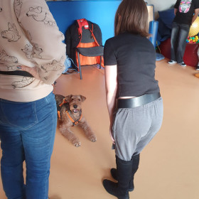 Zajęcia z dogoterapii