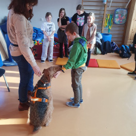 Zajęcia z dogoterapii