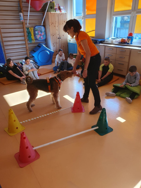 Dogoterapia