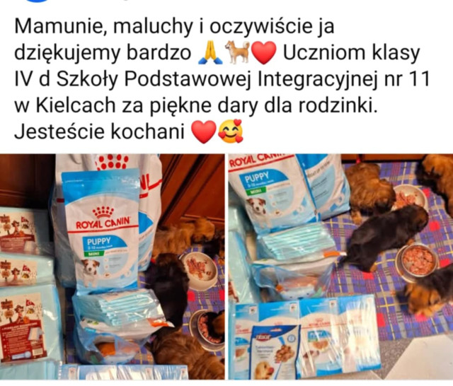 KARMA DLA SCHRONISKA
