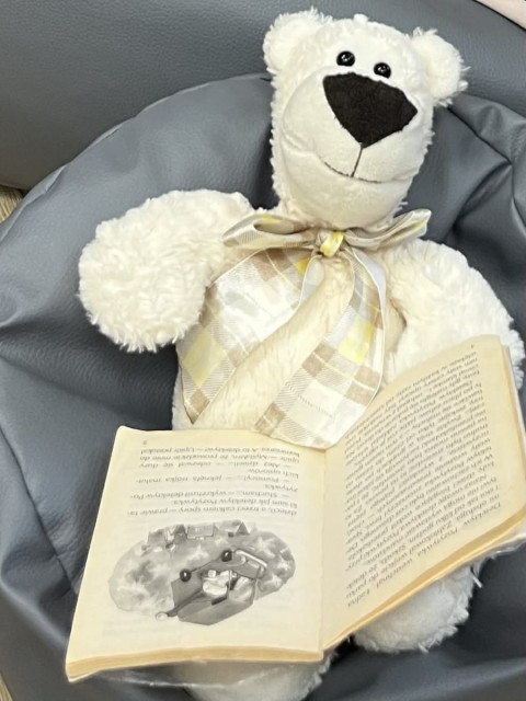 DZIEŃ PLUSZOWEGO MISIA