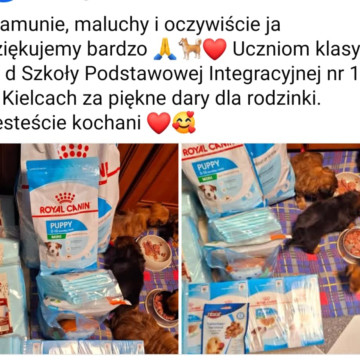 KARMA DLA SCHRONISKA