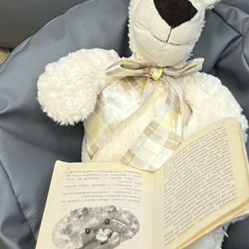 DZIEŃ PLUSZOWEGO MISIA